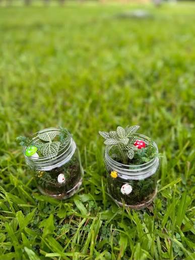 Two miniature jar terrariums standing in the grass outdoors