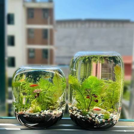 Glass jar terrariums holding moss and miniature figures