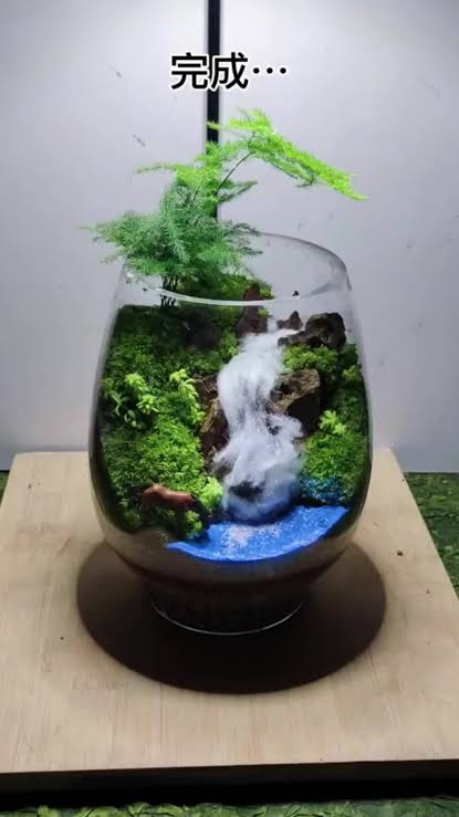 Glass terrarium with a miniature waterfall and mossy rocks